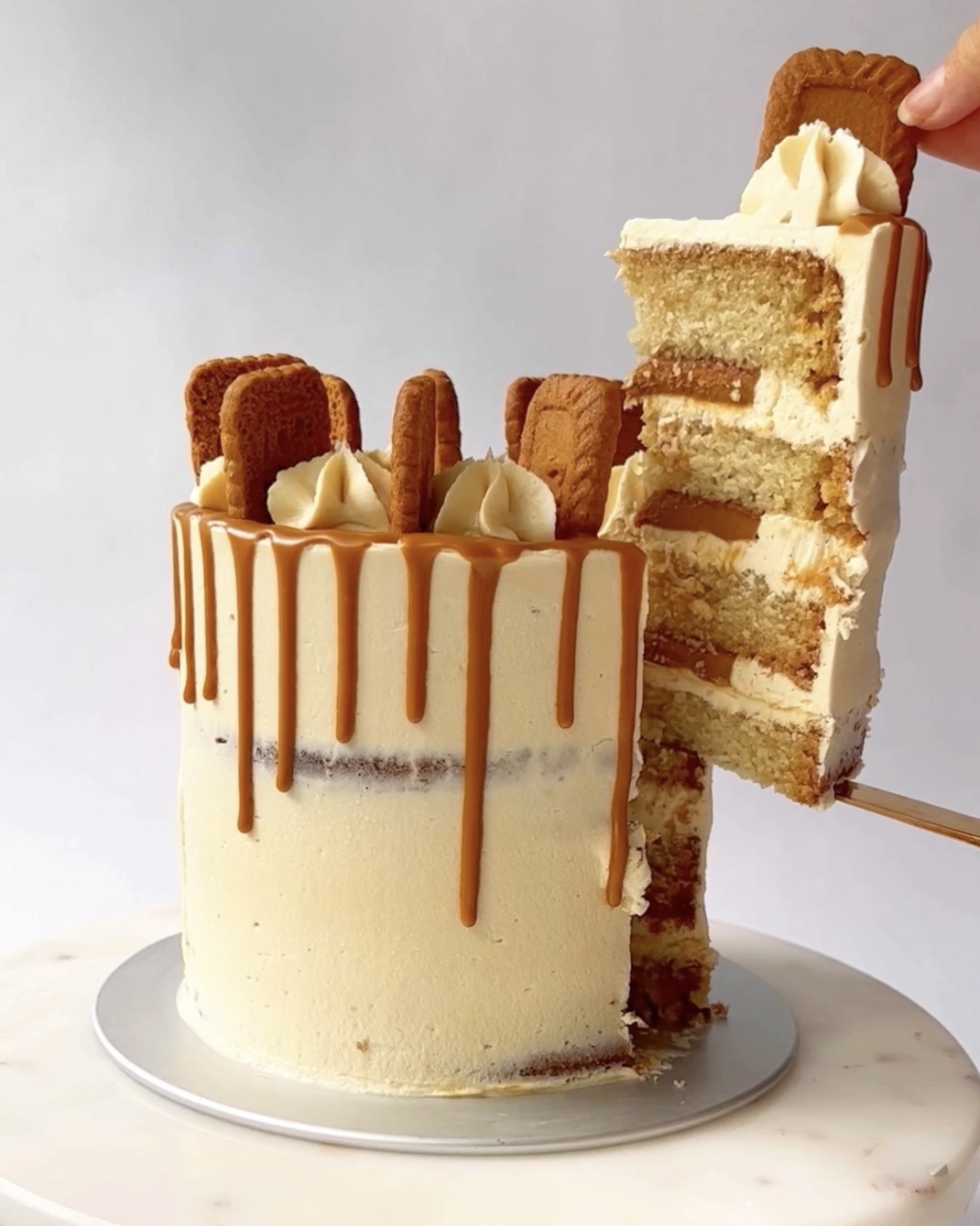 Cookie Butter Cake (Biscoff Cake with Biscoff Buttercream!)
